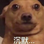 robotx的个人资料头像