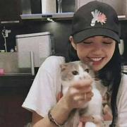 Appsmith_静静的个人资料头像