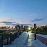 俞兆林汇亚专卖店头像