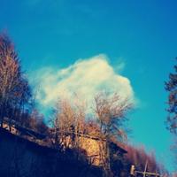 第五方向CLUB头像