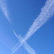 joe阿牛的个人资料头像