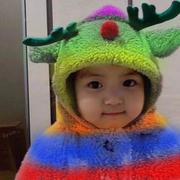 蓝一冰的个人资料头像