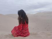 Zmaxt的个人资料头像