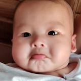 芝麻汤圆9870头像