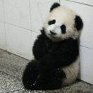 一叶知秋就是我的个人资料头像