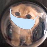 喵来八荒头像