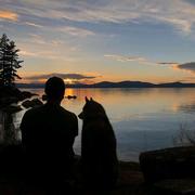 风吹醒了梦的个人资料头像