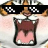 💥上山打老虎🐯头像