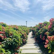 End720的个人资料头像