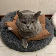 艾江山的个人资料头像