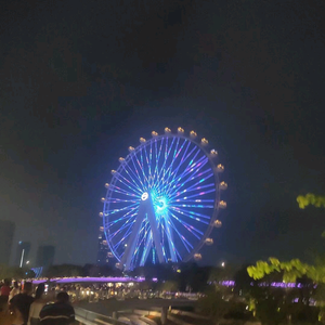 圆缘头像