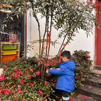 上海喜妈妈礼服馆头像
