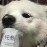 请你吃颗糖y头像