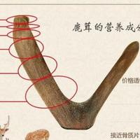 陈GG126595796头像