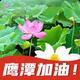 门店创新系统帮扶导师王飞龙头像