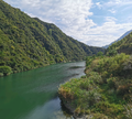 黄岛主头像