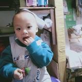 高冷叶子cFp头像