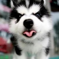 甜心小婷百货店呀头像