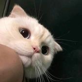 用户9475073188817头像
