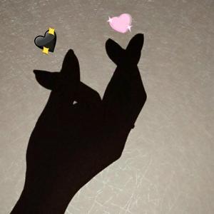 @双ᥬ🐯 ᭄ᥬ🐯 ᭄头像