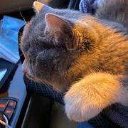 Villam的个人资料头像