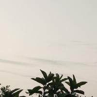 不假思索那就行头像