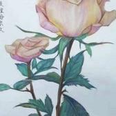 用户3632800599404头像