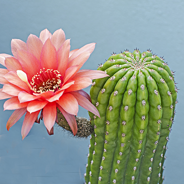 劳动科技员头像