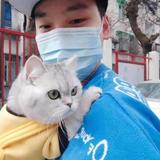 家有立秋和二货头像