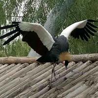 终生守候690头像