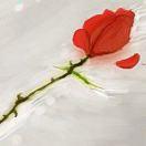 Ni不想说话85526的个人资料头像