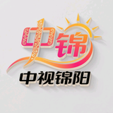 中视锦阳头像