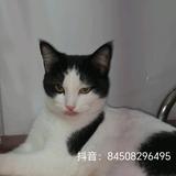 熬夜不能喝可乐头像