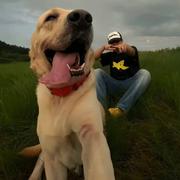 没得灵魂的个人资料头像