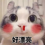 扯起淡来栩栩如生的阿闲的个人资料头像