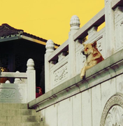 石斑鱼技术的个人资料头像