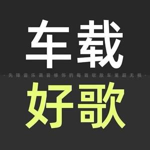 好听音乐车载调音歌曲头像