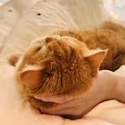饺子的superfans的个人资料头像