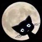 A木孑i剑的个人资料头像