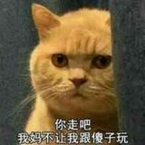 沙龙ˇOˇ头像