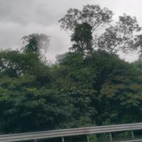 怂怂怂光军头像