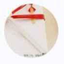 浅念洛亦安儿的个人资料头像