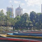 焉知非福的个人资料头像