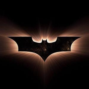 掰特门玩游戏Batman头像