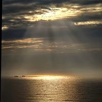 汽车音乐BMW头像