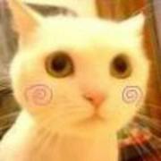 秀一783的个人资料头像