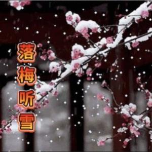 落梅听雪LMTX头像