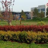 用户3907194962347头像