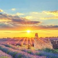 花开似锦776头像