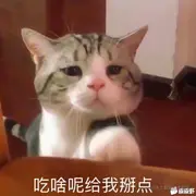 Kurosaki的个人资料头像
